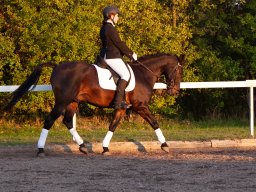 IMG_8040_web